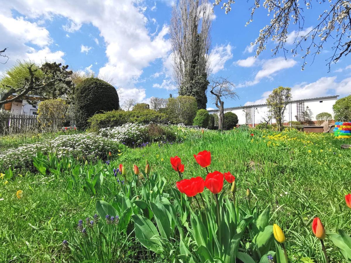 Bohnapartments Ega Stadtblick - Garten - Wlan - Naehe Theater Ega Und Messe エアフルト エクステリア 写真